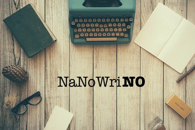 Why NaNoWriMo Is a Bad Idea for&nbsp;Me